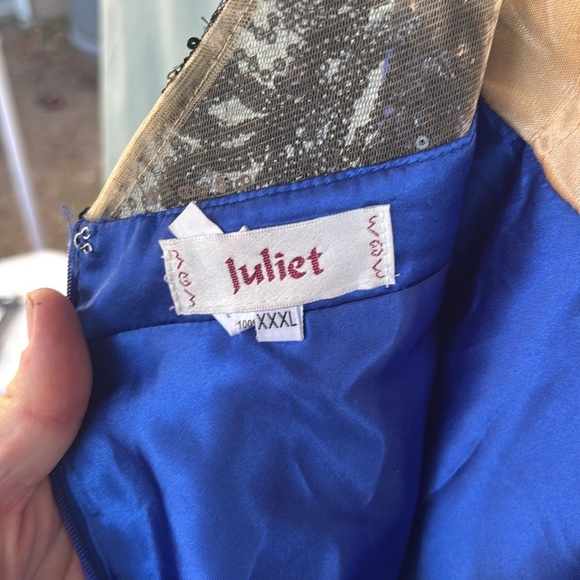 NWT Long Sequin Bodice A-line Dress by Juliet XXL - Picture 8 of 12